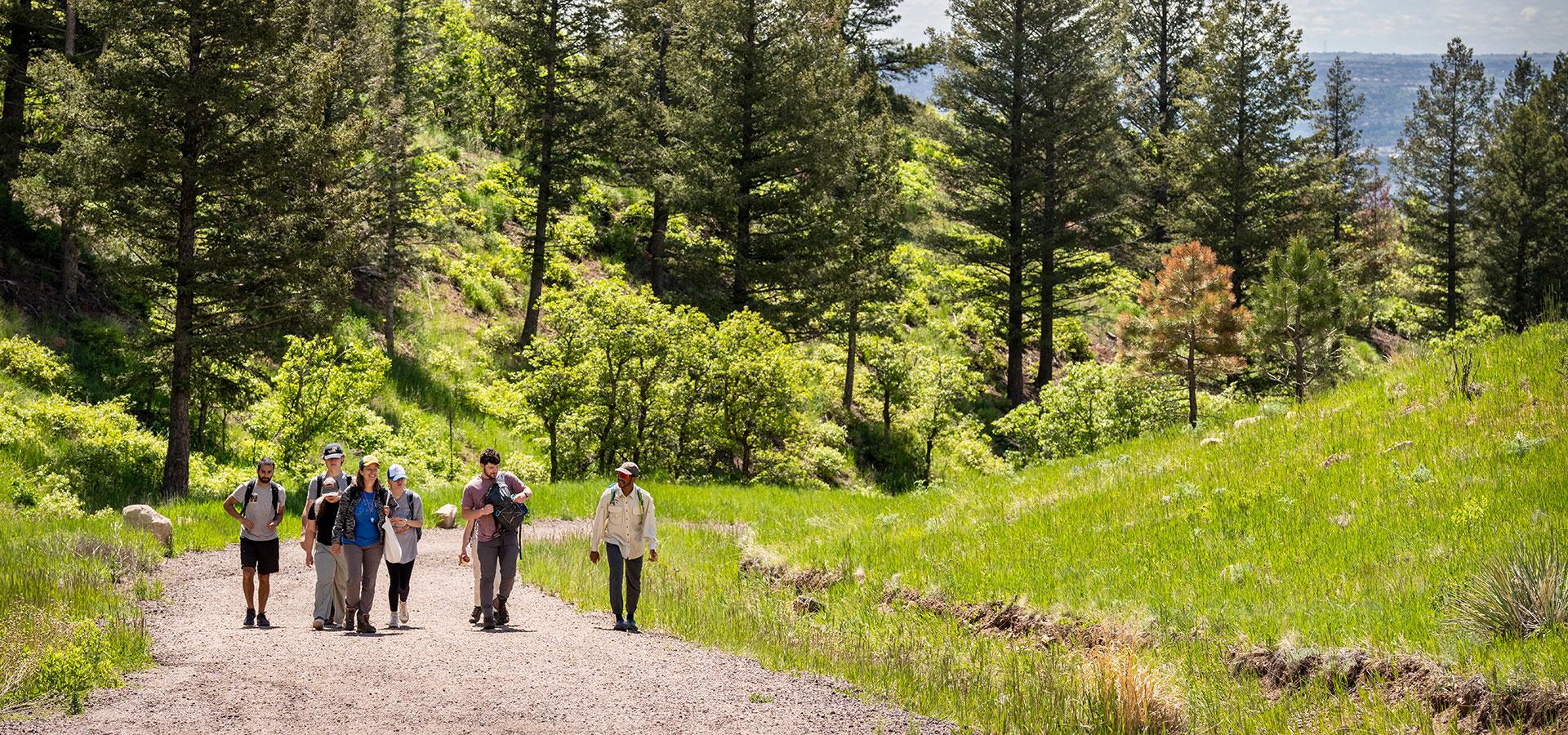 Rachel Jabaily’s BE202 Field Botany class visits Blodgett Peak on 6/6/23. Photo by Lonnie Timmons III / Colorado College.